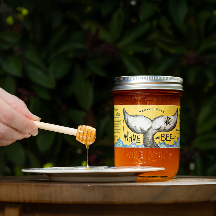 Jungle Blossom Honey