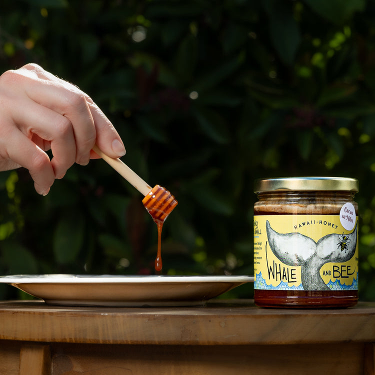 Cacao Honey with Nibs